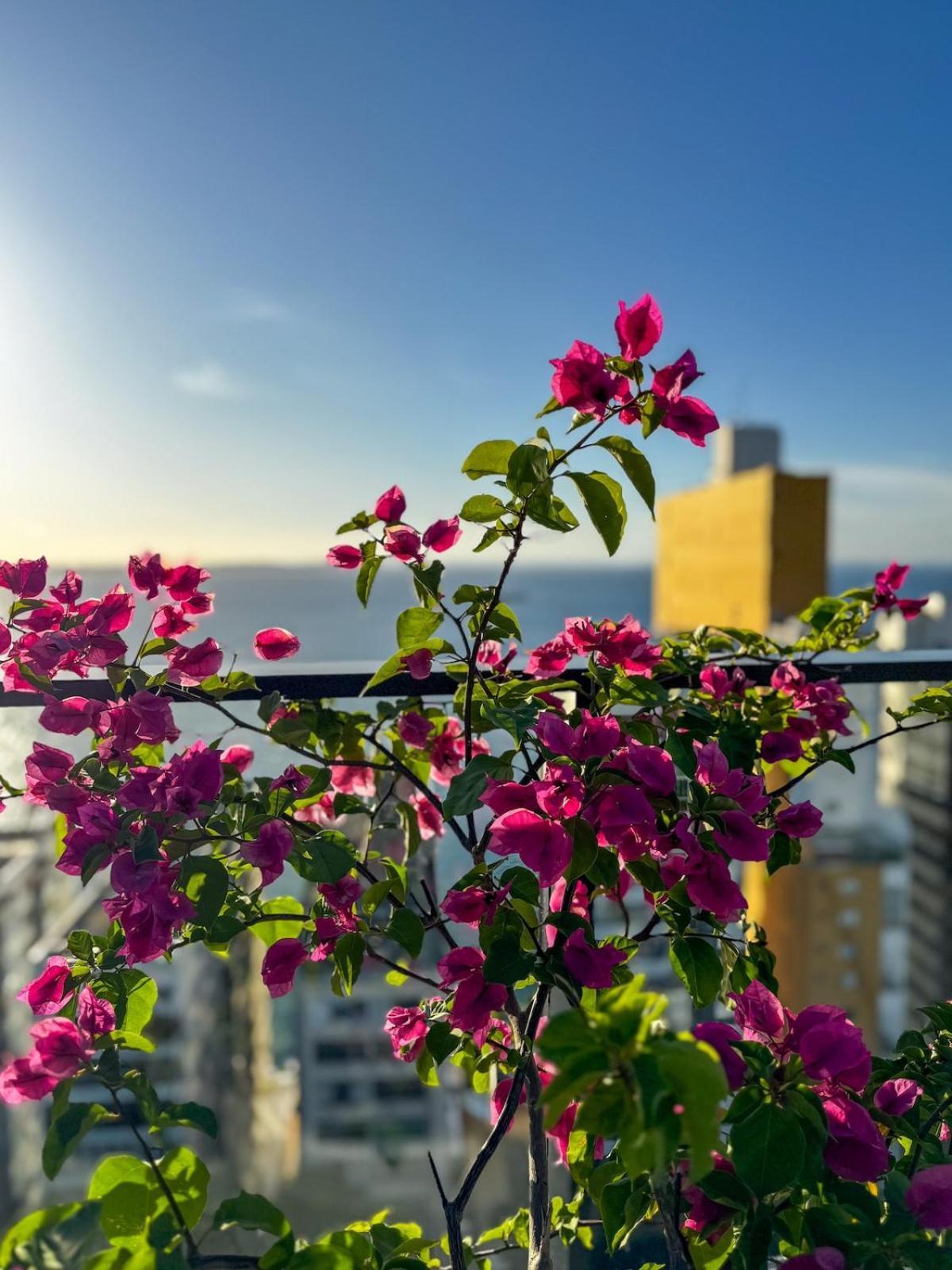 Novo Com Rooftop Vista Mar E Piscina Com Borda Infinita - Estacionamento, Portaria 24hr, Proximo Aos Principais Pontos Turisticos De Apartamento Salvador